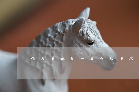 信用卡逾期一天会收手续费吗 信用卡逾期一天会收手续费吗