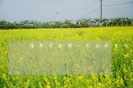 信用卡逾期一天会收费吗 信用卡逾期一天会收费吗