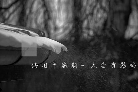 信用卡逾期一天会有影吗 信用卡逾期一天会有影吗