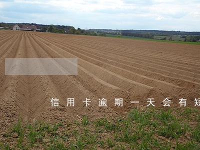 信用卡逾期一天会有短信吗 信用卡逾期一天会有短信吗