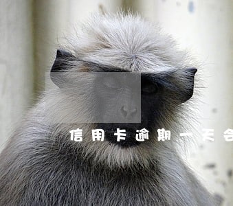 信用卡逾期一天会纳入征信吗 信用卡逾期一天会纳入征信吗