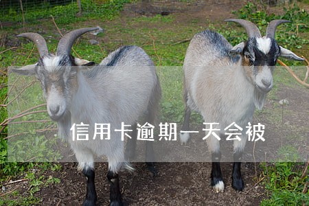 信用卡逾期一天会被 信用卡逾期一天会被