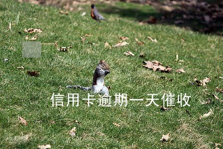 信用卡逾期一天催收 信用卡逾期一天催收
