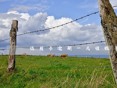 信用卡逾期一天催收多个电话 信用卡逾期一天催收多个电话