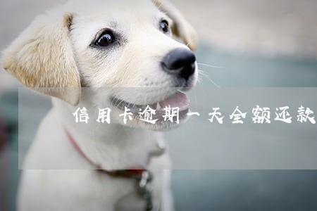 信用卡逾期一天全额还款吗 信用卡逾期一天全额还款吗