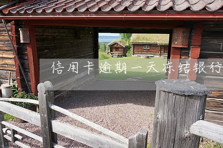信用卡逾期一天冻结银行卡 信用卡逾期一天冻结银行卡