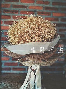 信用卡逾期一天划款么 信用卡逾期一天划款么