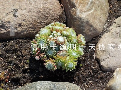 信用卡逾期一天协商办法 信用卡逾期一天协商办法