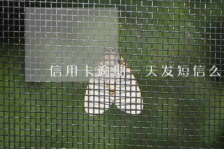 信用卡逾期一天发短信么 信用卡逾期一天发短信么