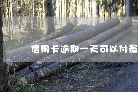 信用卡逾期一天可以付最低吗 信用卡逾期一天可以付最低吗