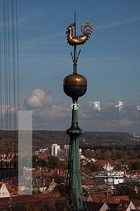 信用卡逾期一天可以办分期吗