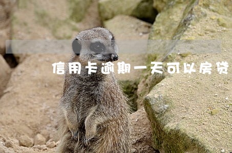 信用卡逾期一天可以房贷吗 信用卡逾期一天可以房贷吗