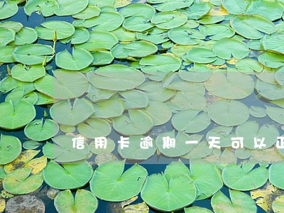 信用卡逾期一天可以正常使用吗 信用卡逾期一天可以正常使用吗