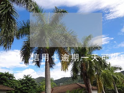信用卡逾期一天可以申诉吗 信用卡逾期一天可以申诉吗