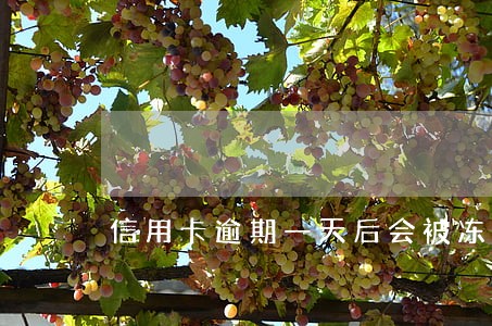 信用卡逾期一天后会被冻结吗 信用卡逾期一天后会被冻结吗