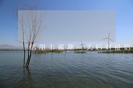 信用卡逾期一天后对征信有影响吗