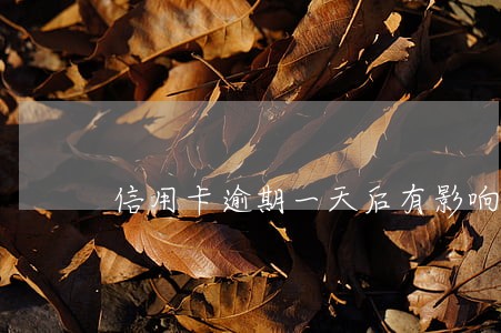 信用卡逾期一天后有影响吗 信用卡逾期一天后有影响吗