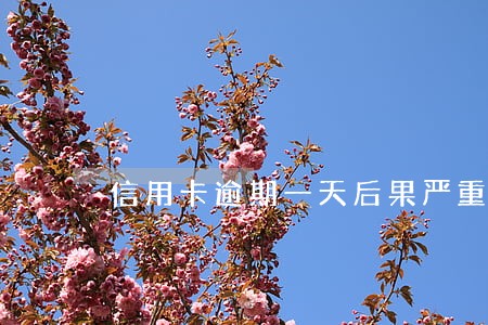 信用卡逾期一天后果严重吗 信用卡逾期一天后果严重吗