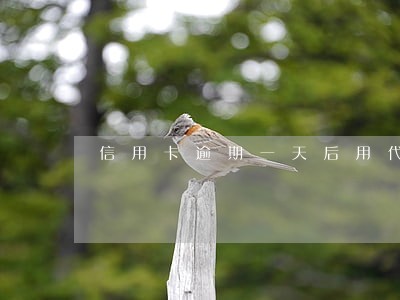 信用卡逾期一天后用代还app 信用卡逾期一天后用代还app