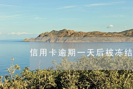 信用卡逾期一天后被冻结怎么办 信用卡逾期一天后被冻结怎么办