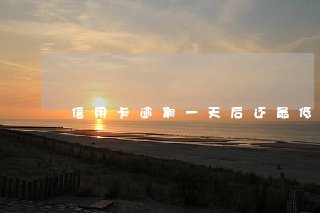 信用卡逾期一天后还最低还款 信用卡逾期一天后还最低还款