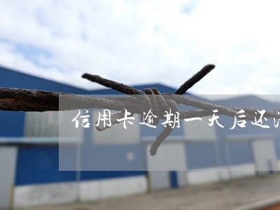 信用卡逾期一天后还清 信用卡逾期一天后还清