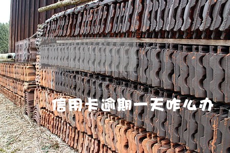 信用卡逾期一天咋么办 信用卡逾期一天咋么办