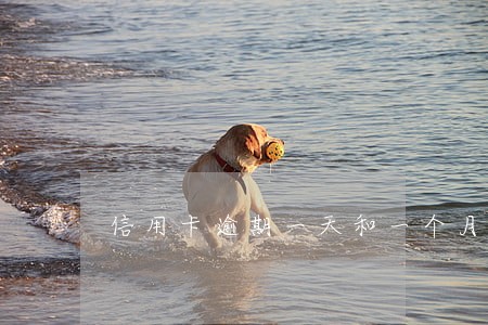 信用卡逾期一天和一个月一样吗 信用卡逾期一天和一个月一样吗