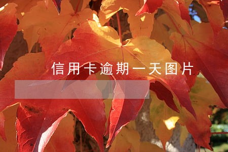 信用卡逾期一天图片