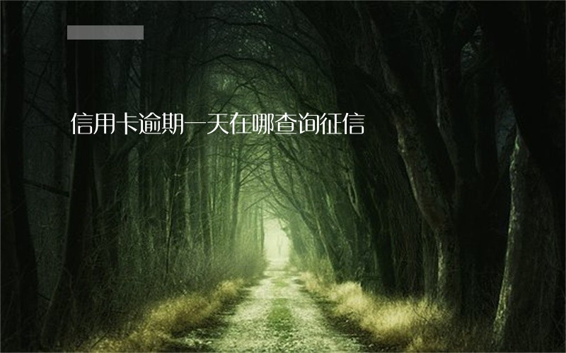 信用卡逾期一天在哪查询征信 信用卡逾期一天在哪查询征信