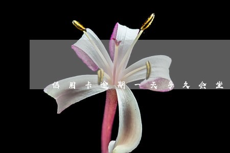 信用卡逾期一天多久会坐牢 信用卡逾期一天多久会坐牢