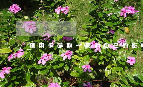 信用卡逾期一天对自己的影响 信用卡逾期一天对自己的影响