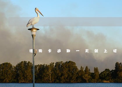 信用卡逾期一天就上征信吗