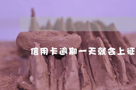 信用卡逾期一天就会上征信