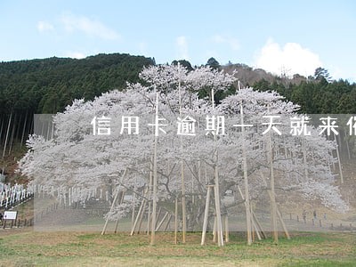 信用卡逾期一天就来催 信用卡逾期一天就来催