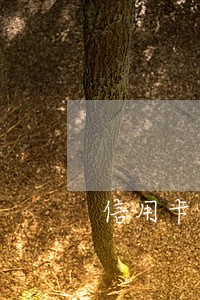 信用卡逾期一天已还