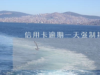 信用卡逾期一天强制扣款几次 信用卡逾期一天强制扣款几次