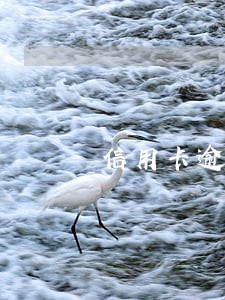 信用卡逾期一天影响征信记录 信用卡逾期一天影响征信记录
