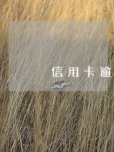 信用卡逾期一天影响额度吗 信用卡逾期一天影响额度吗