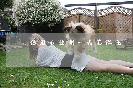 信用卡逾期一天忘记还 信用卡逾期一天忘记还