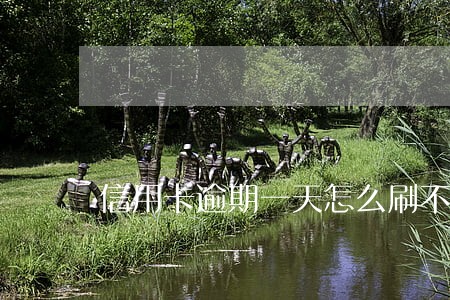 信用卡逾期一天怎么刷不出来 信用卡逾期一天怎么刷不出来