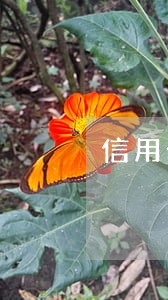信用卡逾期一天怎么办还能借吗 信用卡逾期一天怎么办还能借吗