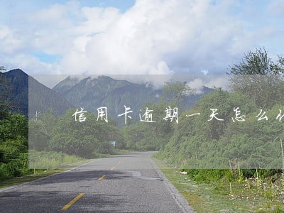 信用卡逾期一天怎么化解 信用卡逾期一天怎么化解