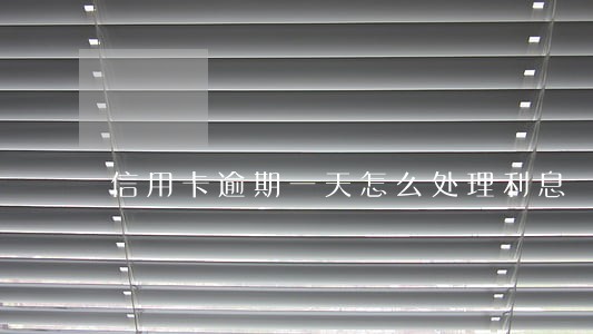 信用卡逾期一天怎么处理利息 信用卡逾期一天怎么处理利息