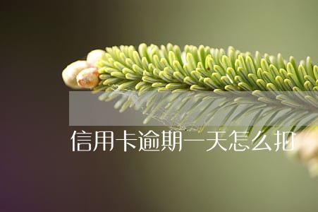 信用卡逾期一天怎么扣