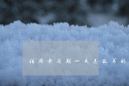 信用卡逾期一天怎么算的 信用卡逾期一天怎么算的
