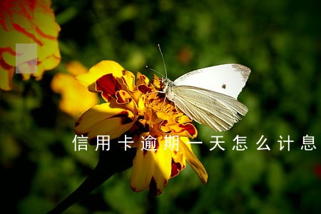 信用卡逾期一天怎么计息