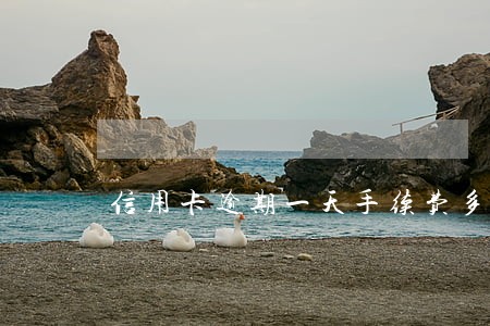 信用卡逾期一天手续费多少 信用卡逾期一天手续费多少