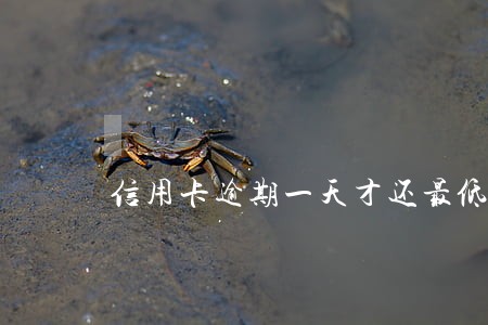 信用卡逾期一天才还最低还款 信用卡逾期一天才还最低还款