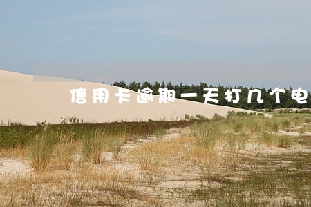 信用卡逾期一天打几个电话